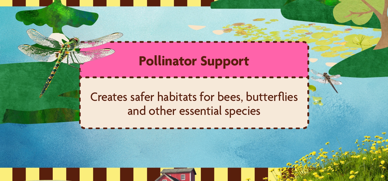 Pollinator Support → Creates safer habitats for bees, butterflies and other essential species