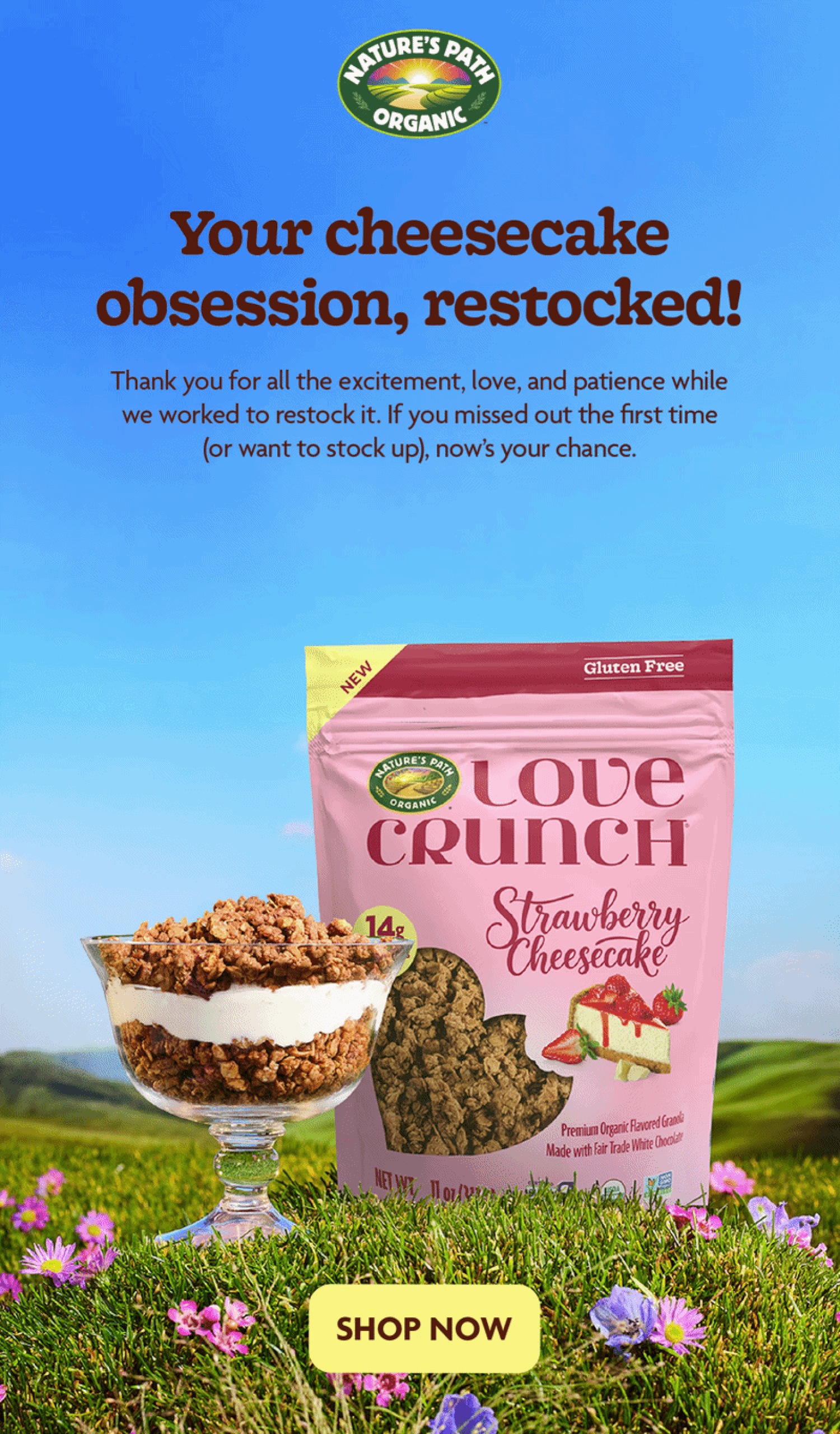 Our Love Crunch Gluten Free Strawberry Cheesecake Granola is officially back in stock.