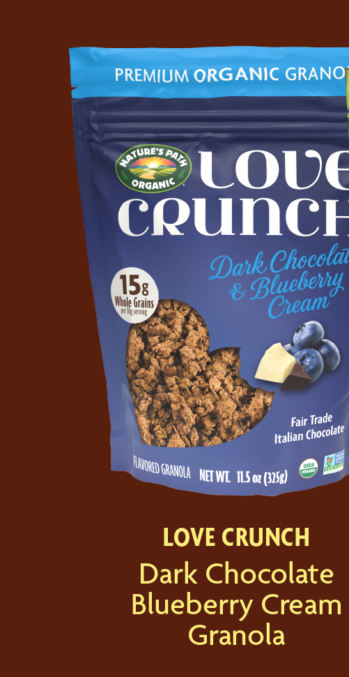 Dark Chocolate & Blueberry Cream  