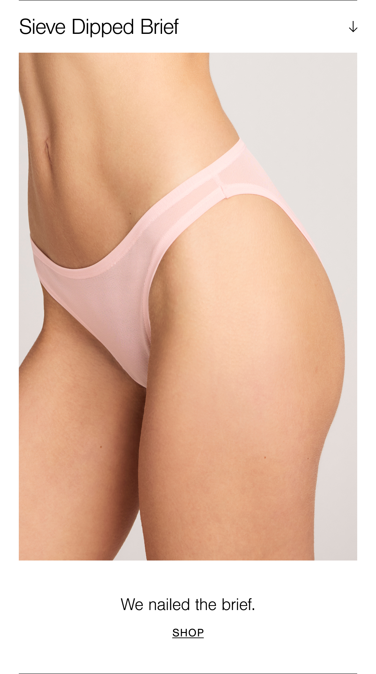 Dip-cut brief. Bestselling micromesh. A classic brief with a twist. Sits higher on the hips for a more flattering look. Shop Sieve Dipped Brief in Shell.
