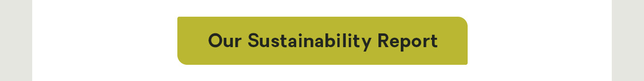 Our Sustainability Report