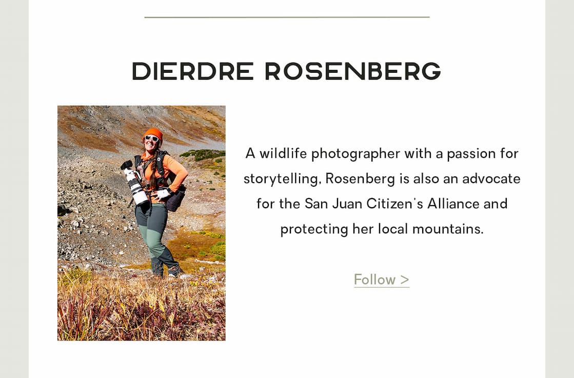 Dierdre Rosenberg: A wildlife photographer with a passion for storytelling, Rosenberg is also an advocate for the San Juan Citizen's Alliance and protecting her local mountains.