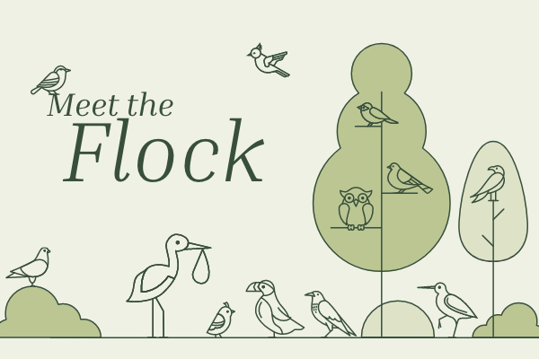 nest mattresses are high-quality, sustainable, lifetime warranty