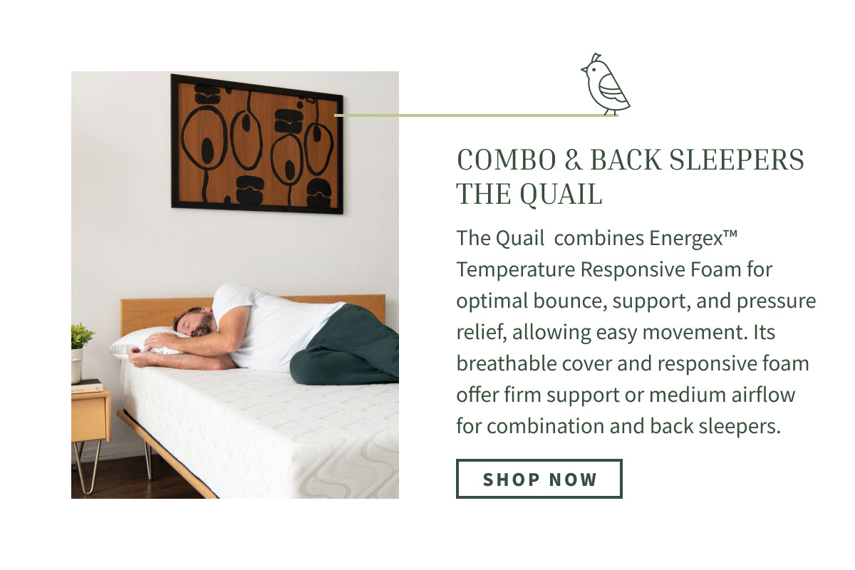 shop the quail, for combo/back sleepers