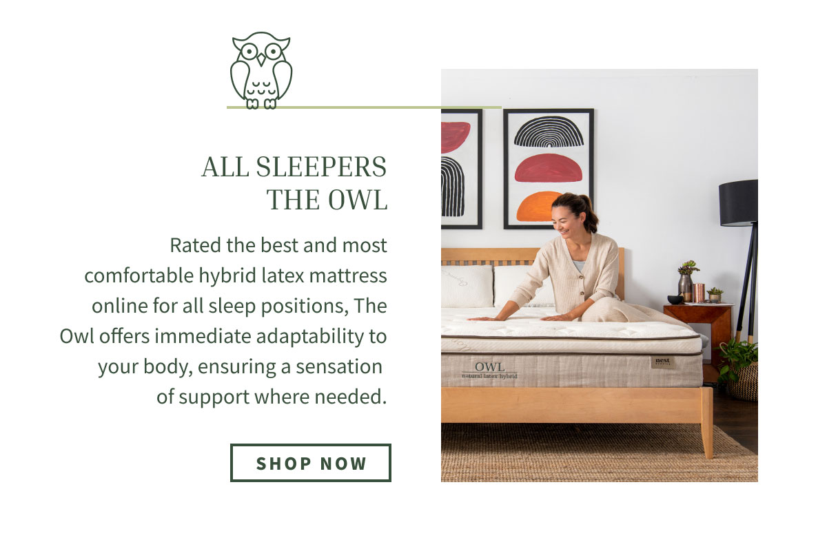 shop the owl, for all sleepers