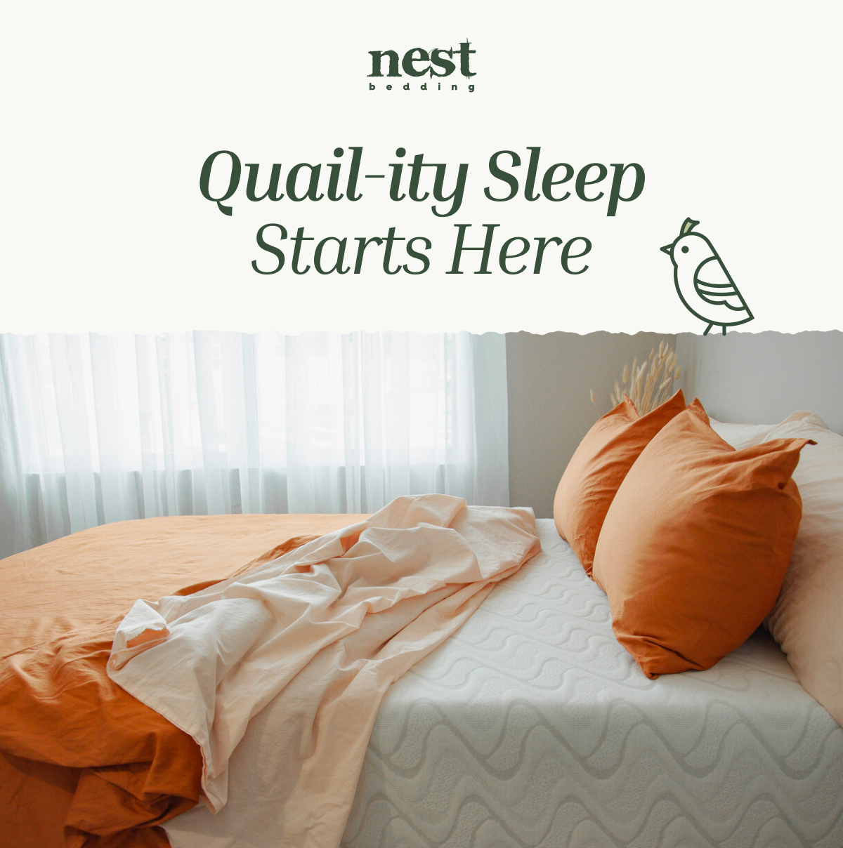 tap to shop the quail