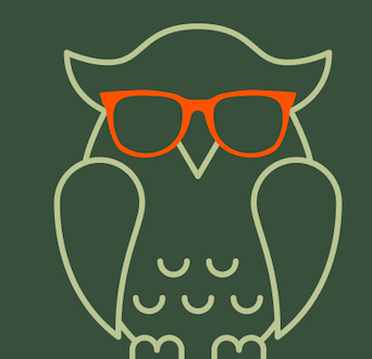 Cool owl wearing sunglasses and holding a flag