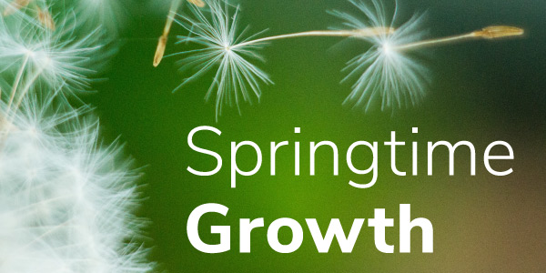 Green background with seedlings float through air "Springtime Growth"