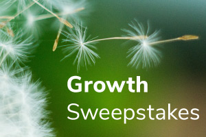 GreeGreen background with seedlings float through air "Growth Sweepstakes""