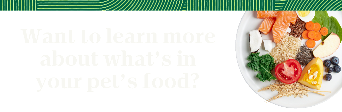 Want to learn more about what’s in your pet’s food?