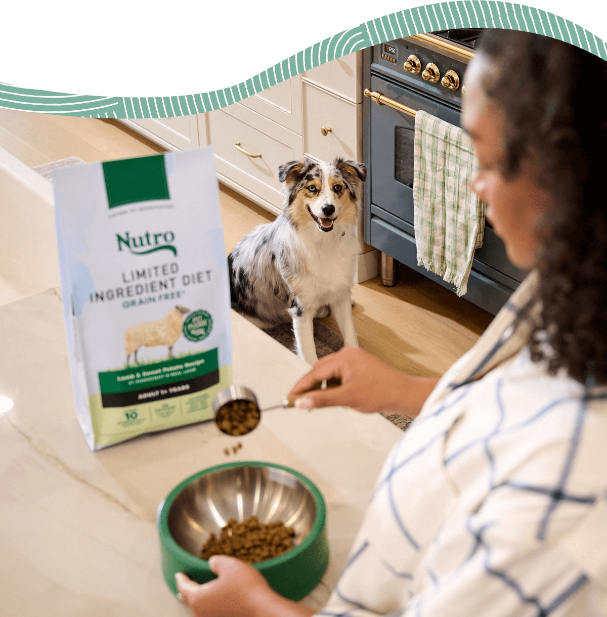 Owner feeding dog
