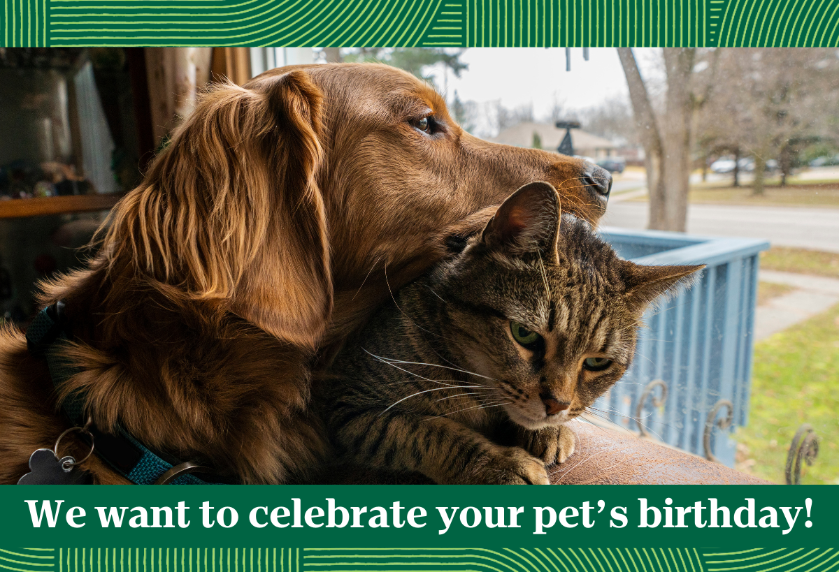 We want to celebrate your pet's birthday!