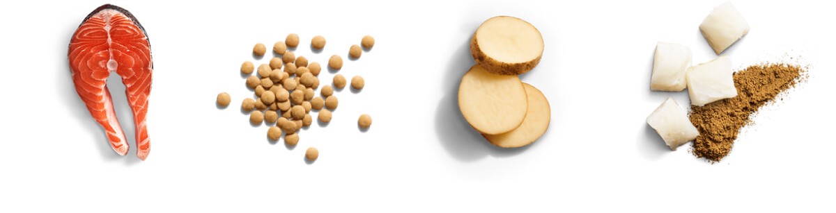 What's in your pet's food?