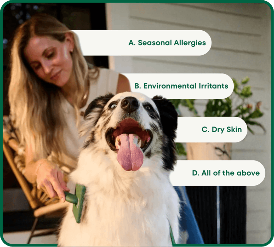 Seasonal Allergies | Environmental Irritants | Dry skin | All of the above