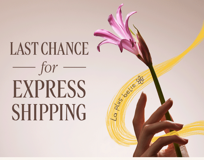 LAST CHANCE FOR EXPRESS SHIPPING