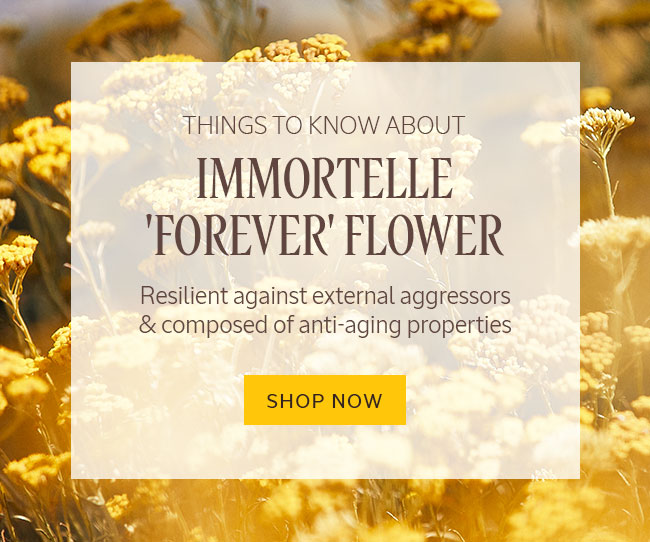 THINGS TO KNOW ABOUT IMMORTELLE | FOREVER FLOWER | RESILIENT AGAINST EXTERNAL AGGRESSORS AND COMPOSED OF ANTI-AGING PROPERTIES | SHOP NOW