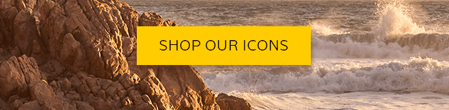 SHOP OUR ICONS