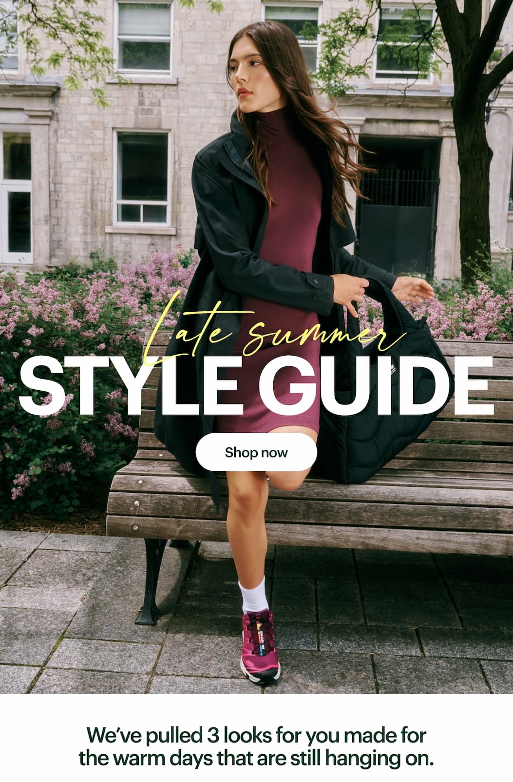 Shop Now 