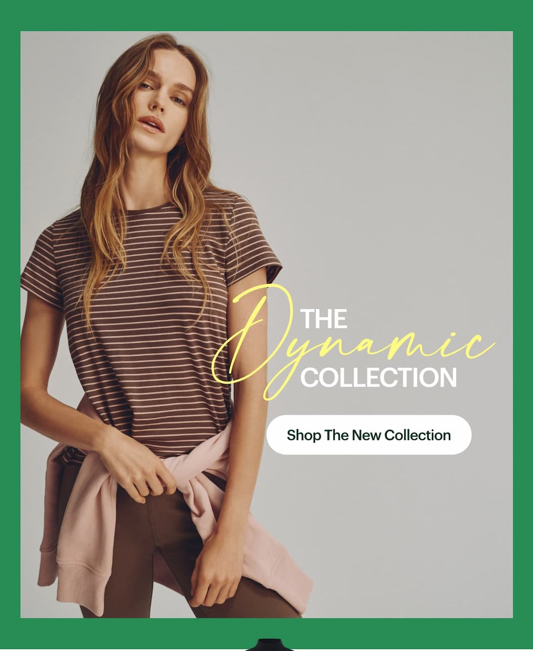 The Dynamic Collection