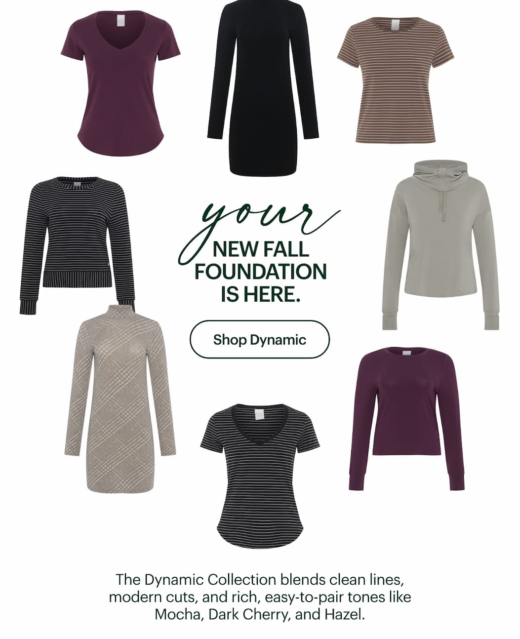 The Dynamic Collection