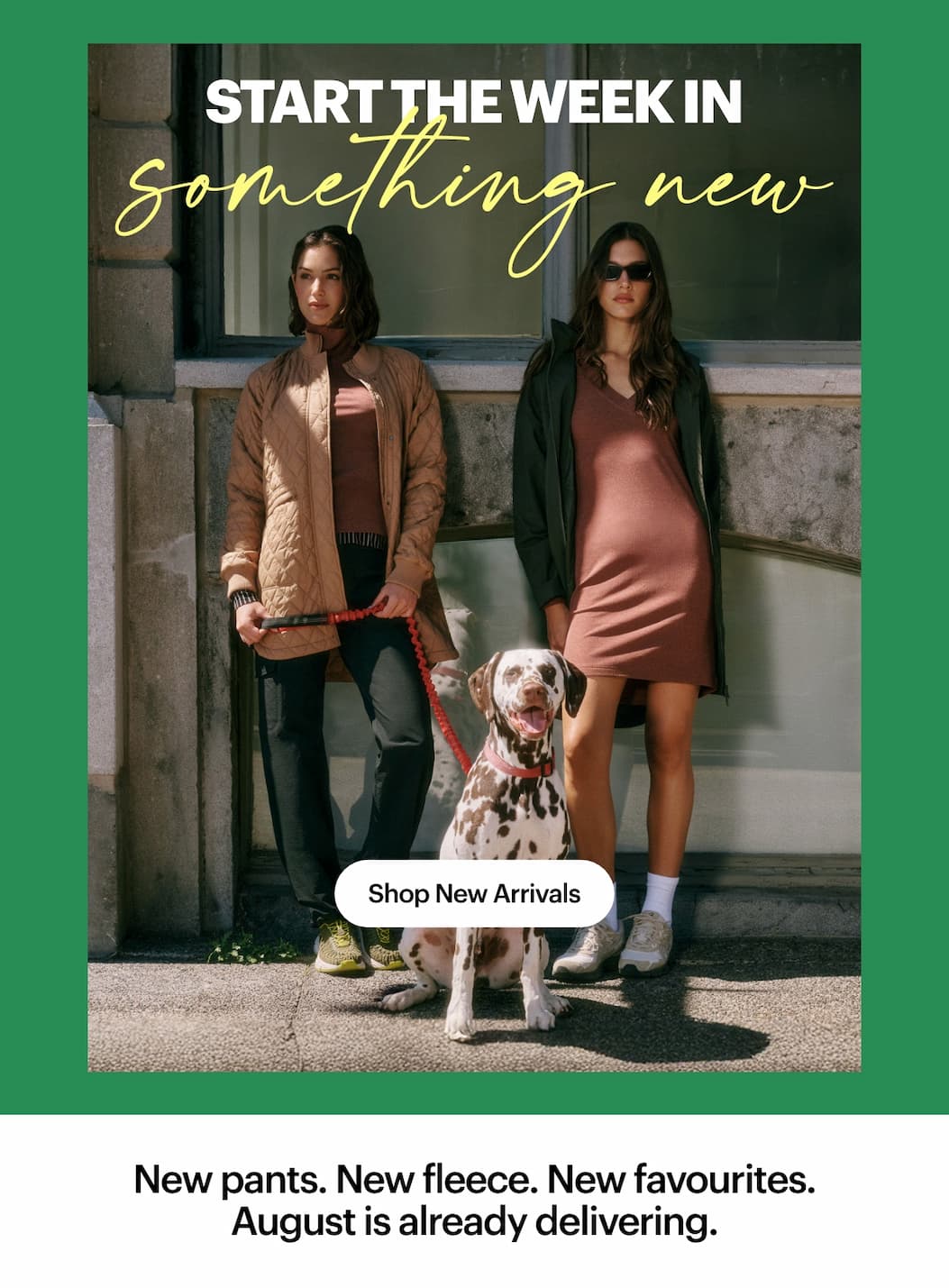 New Arrivals