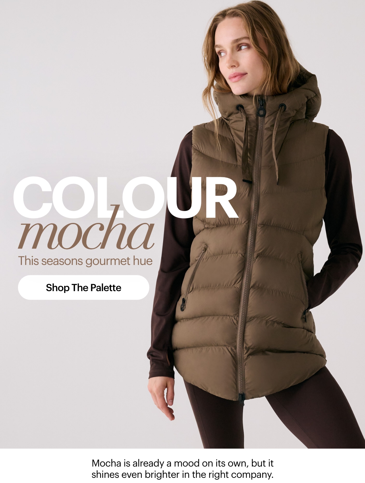 Colour Mocha