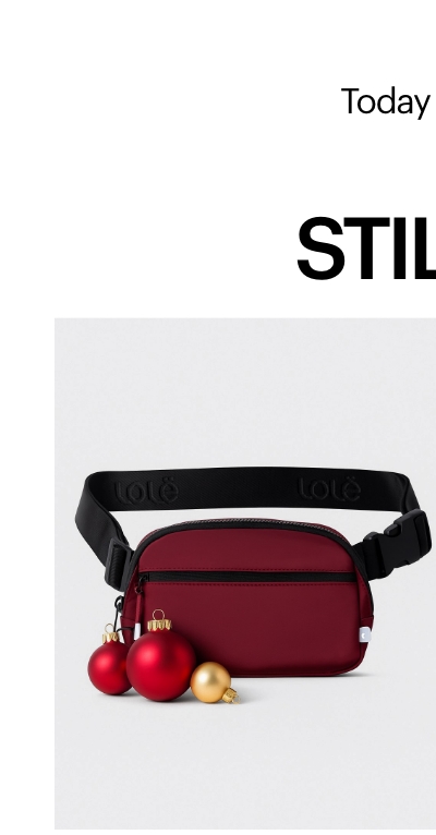 Jamie Belt Bag