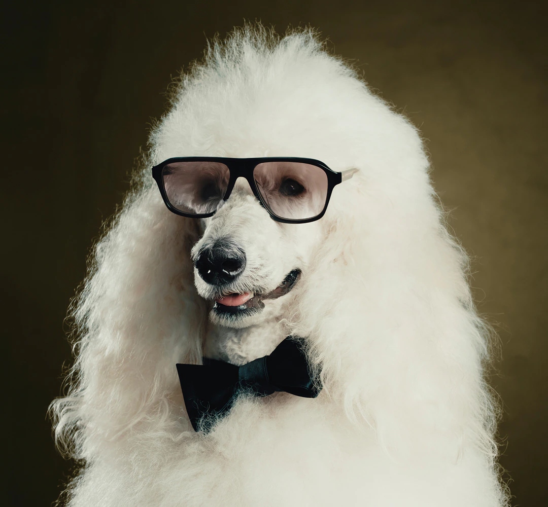 Oliver Peoples