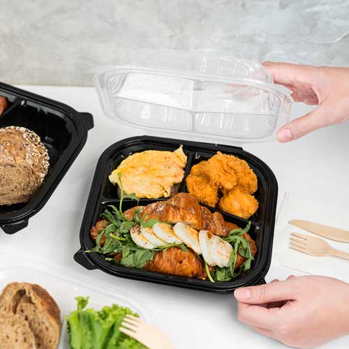Premium PP Hinged Container