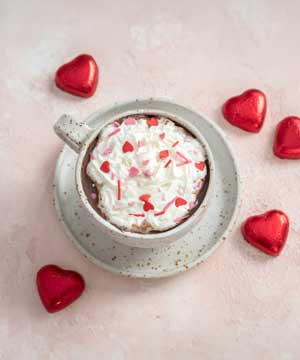 CAPPUCCINE DOUBLE FUDGE MOCHA FRAPP MIX