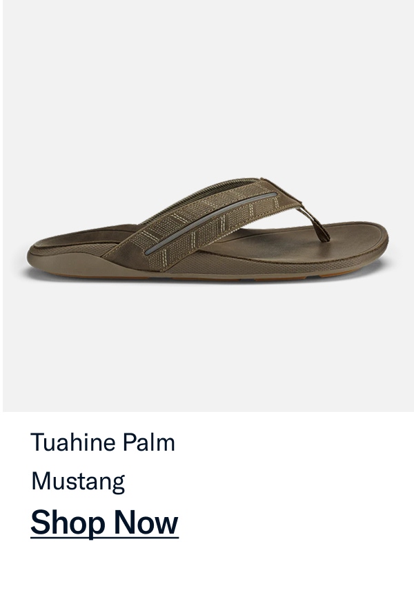 Tuahine Palm
