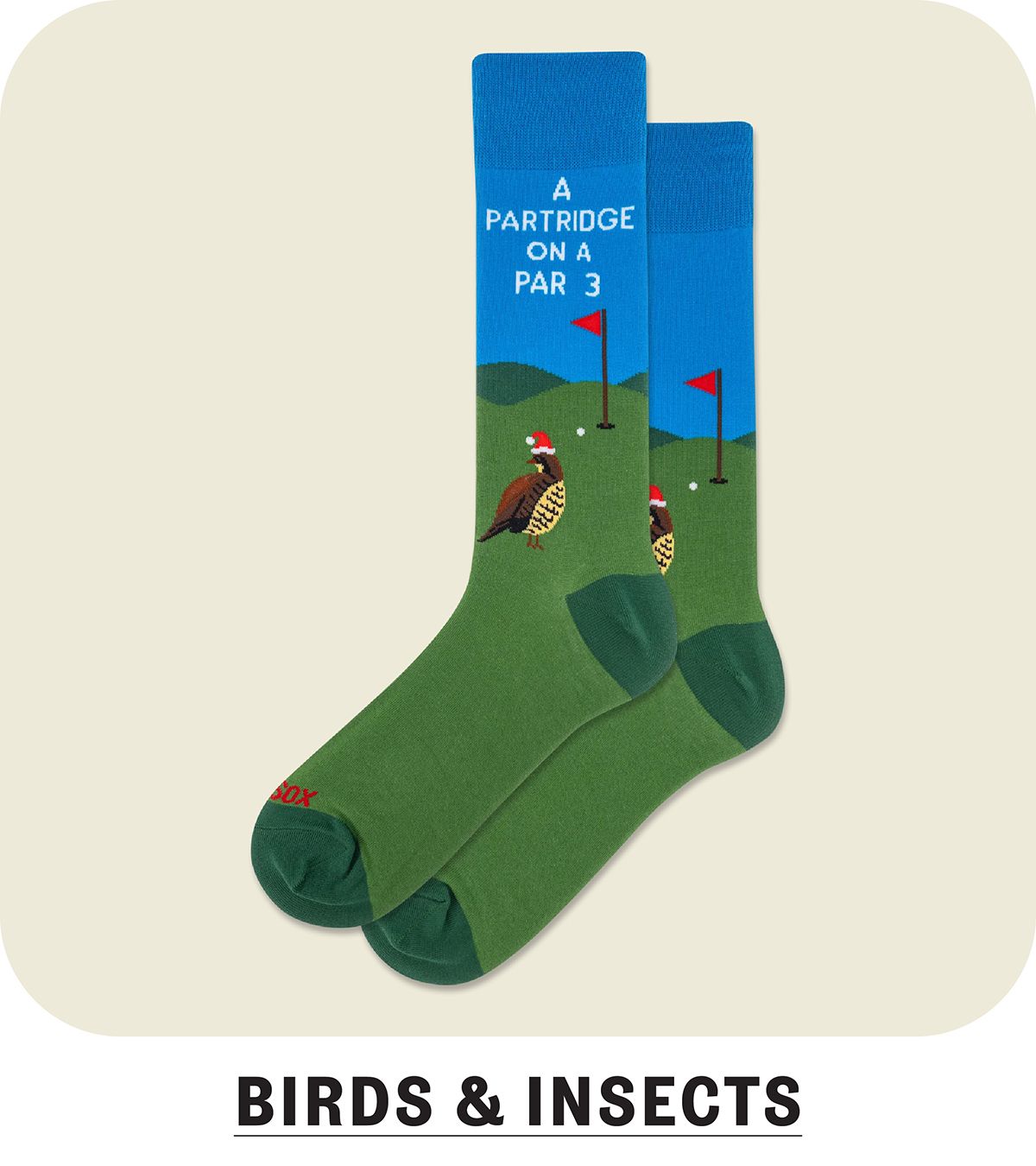 Birds and insect socks