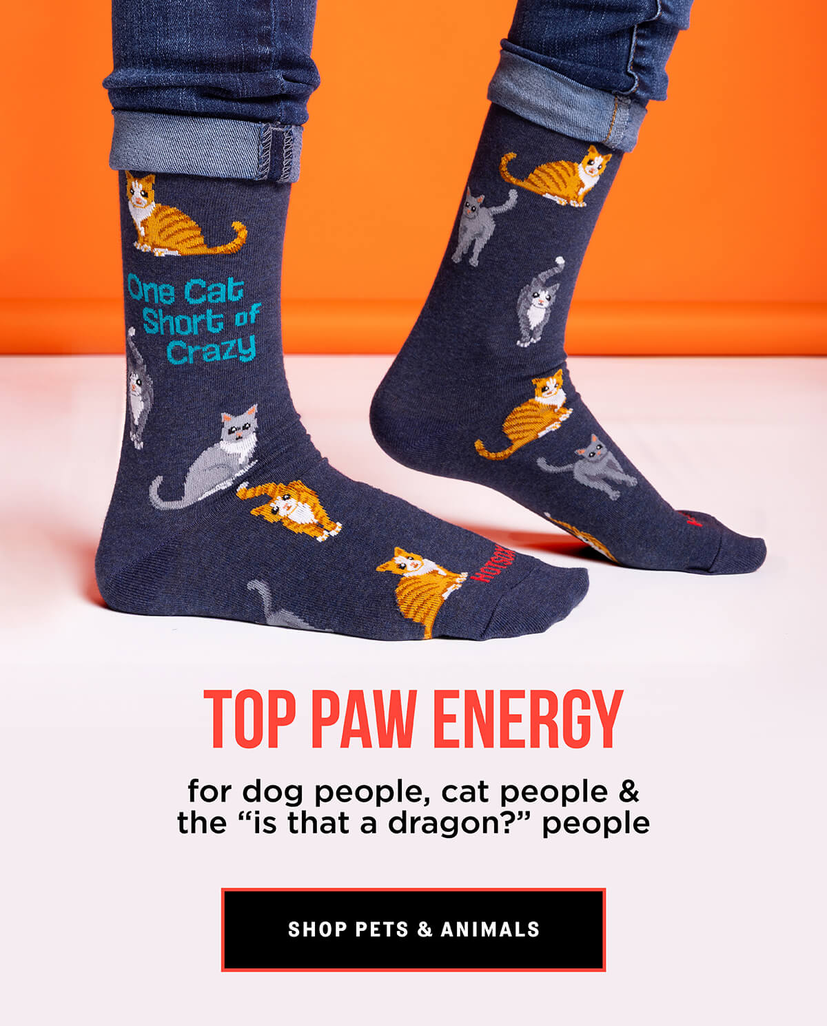 Pets and Animal Socks