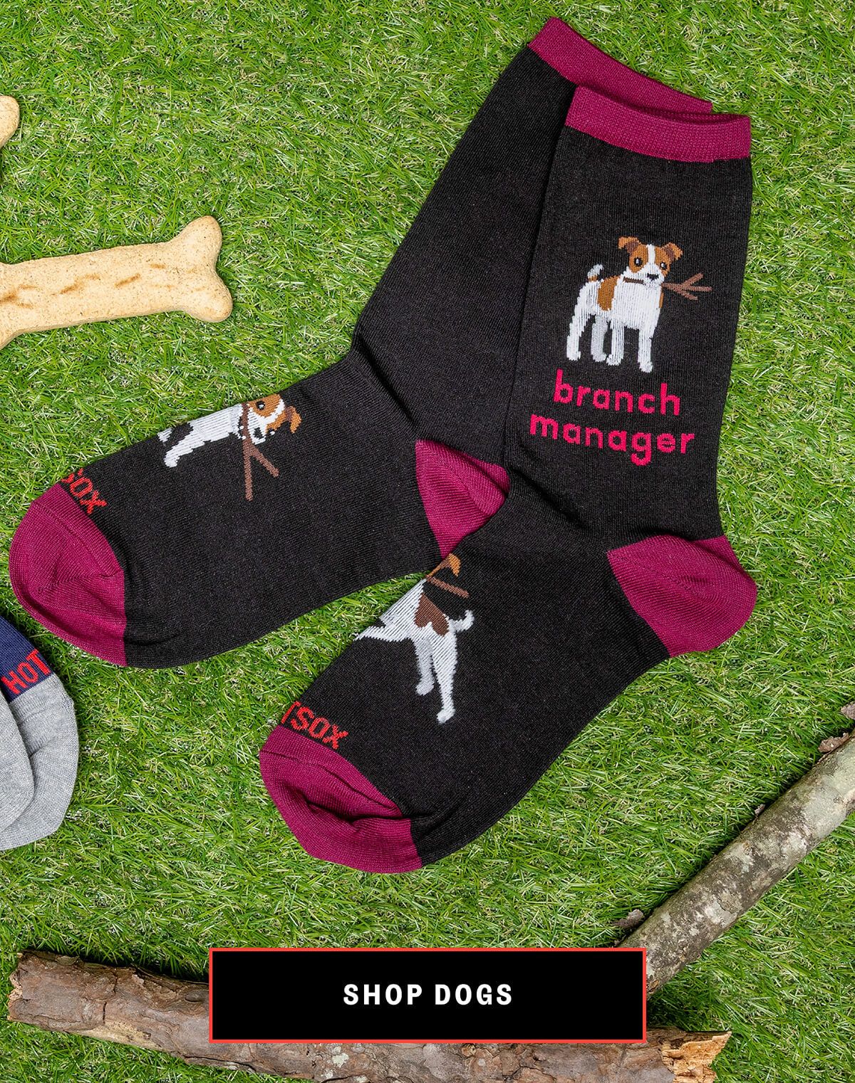 Dog Socks