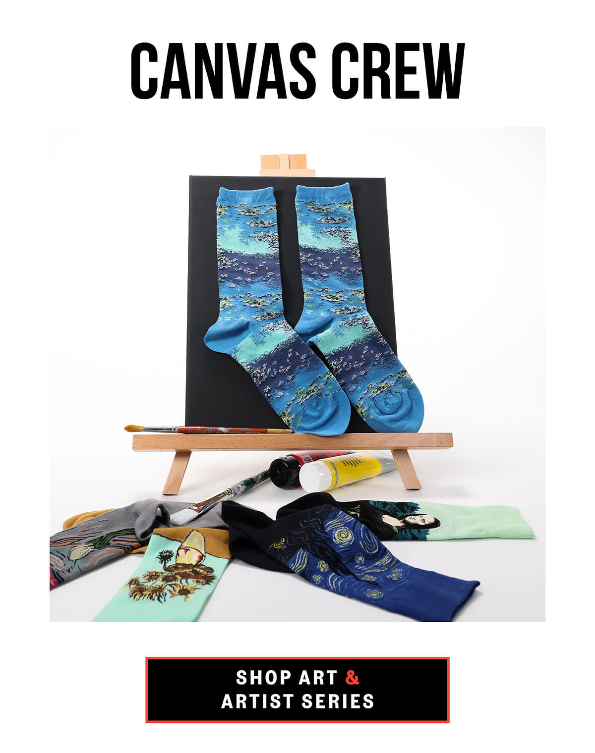 HOTSOX art and artist series socks