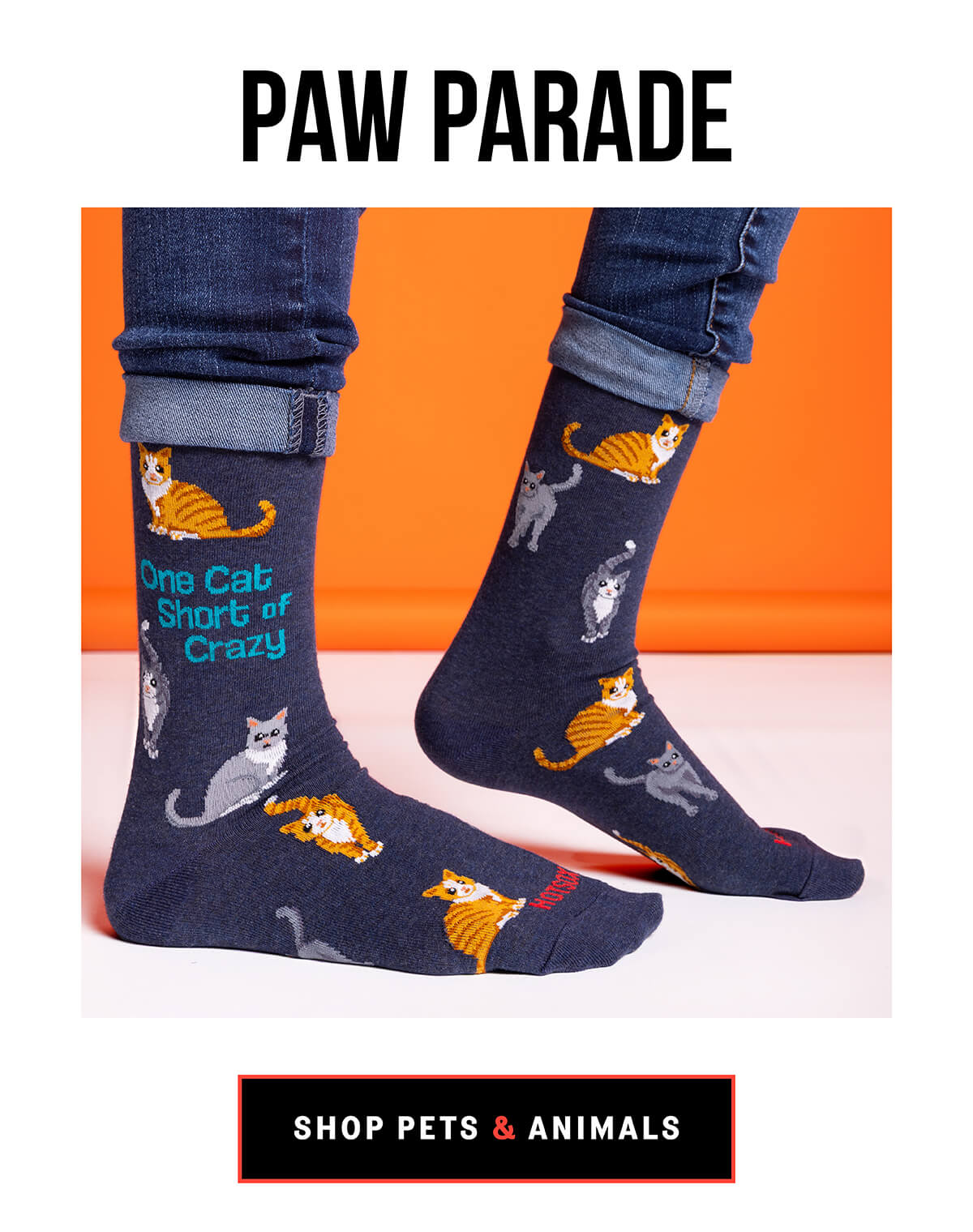 HOTSOX pets and animal socks