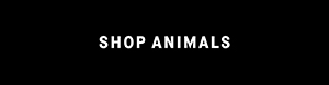 Shop anima socks