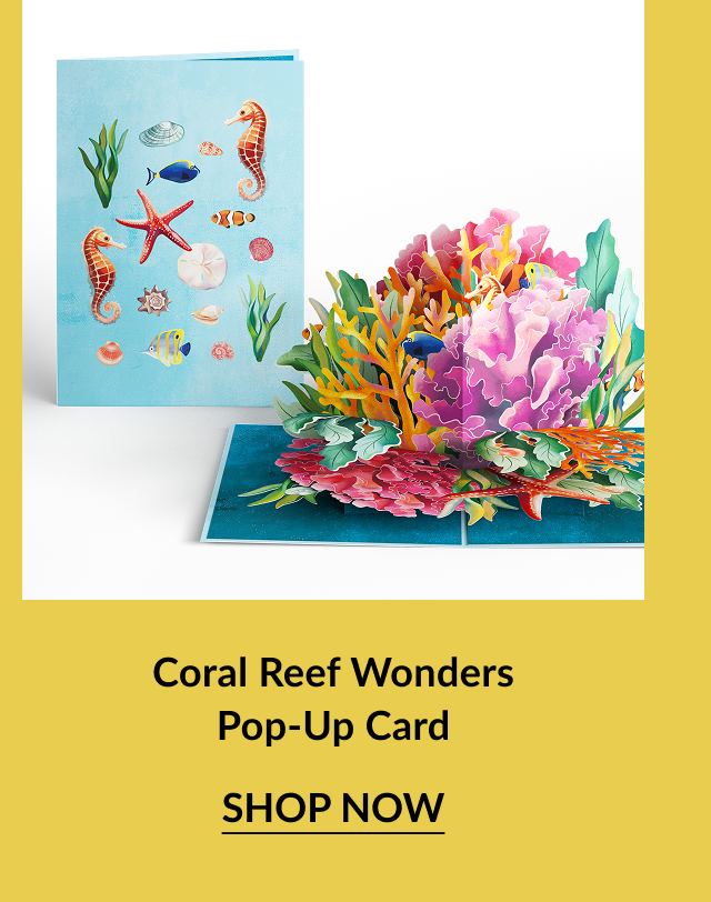 A pop-up card for everyday featuring a pop-up coral reef.