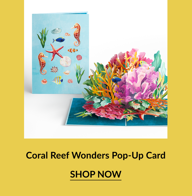 A pop-up card for everyday featuring a pop-up coral reef.