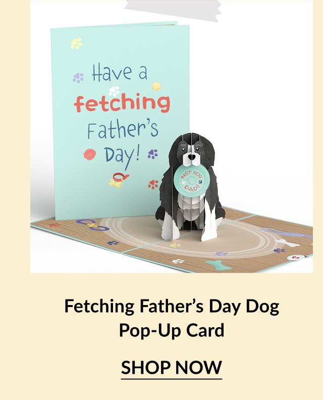 Pop-up card featuring a black and white dog holding a ''Best Dog Dad'' medal, with a light blue front cover that reads ''Have a fetching Father’s Day!''