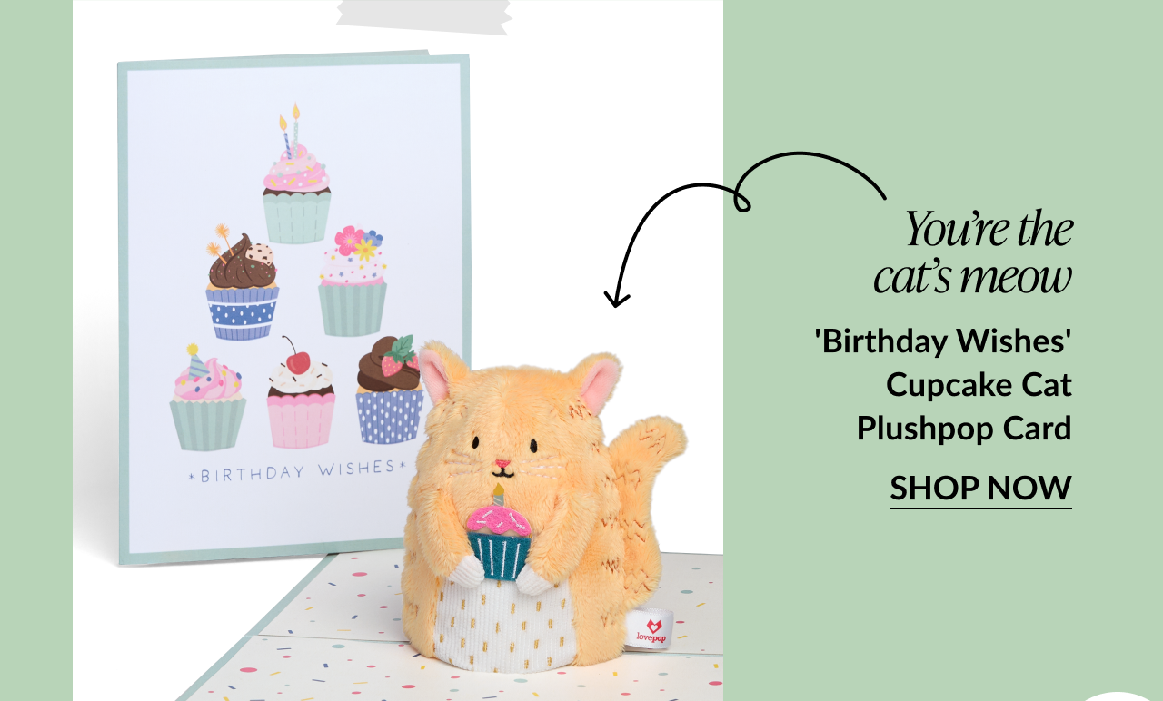 Orange cat Plushpop with a cupcake, shown with a card decorated with birthday cupcakes.