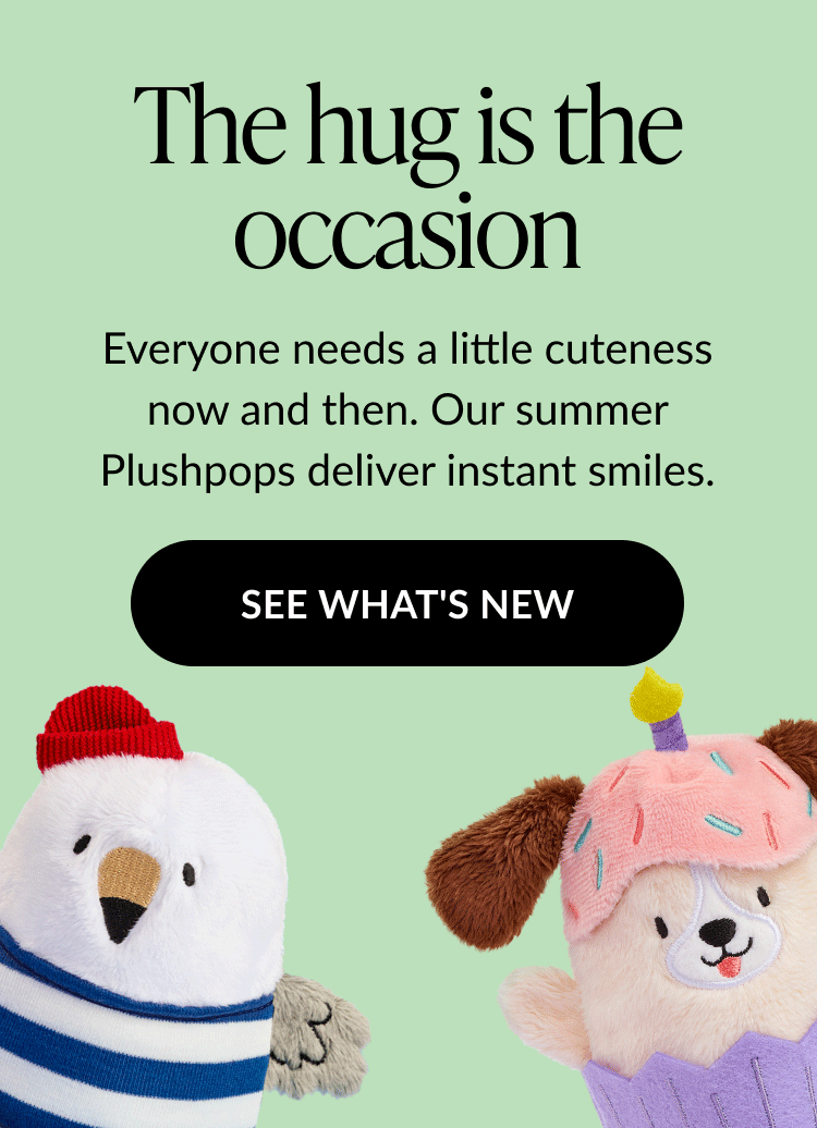 The hug is the occasion. Everyone needs a little cuteness now and then. Our summer Plushpops deliver instant smiles. Two Plushpops are shown: a seagull in a striped shirt and a cupcake dog in a pink wrapper. Button text: SEE WHAT'S NEW.