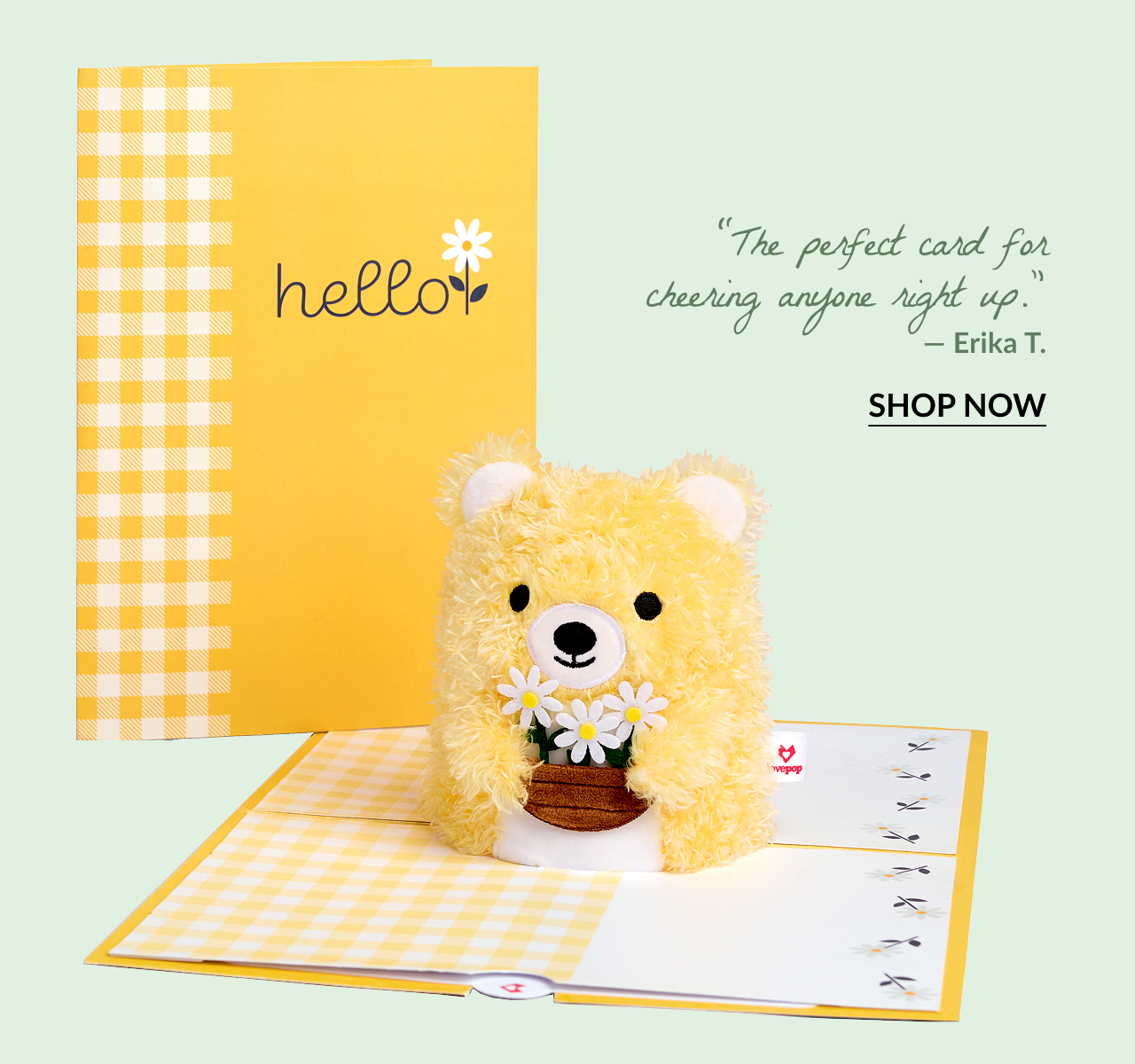 Daisy Greetings Plushpop Card with a fuzzy yellow bear holding daisies. Quote: The perfect card for cheering anyone right up. — Erika T.
