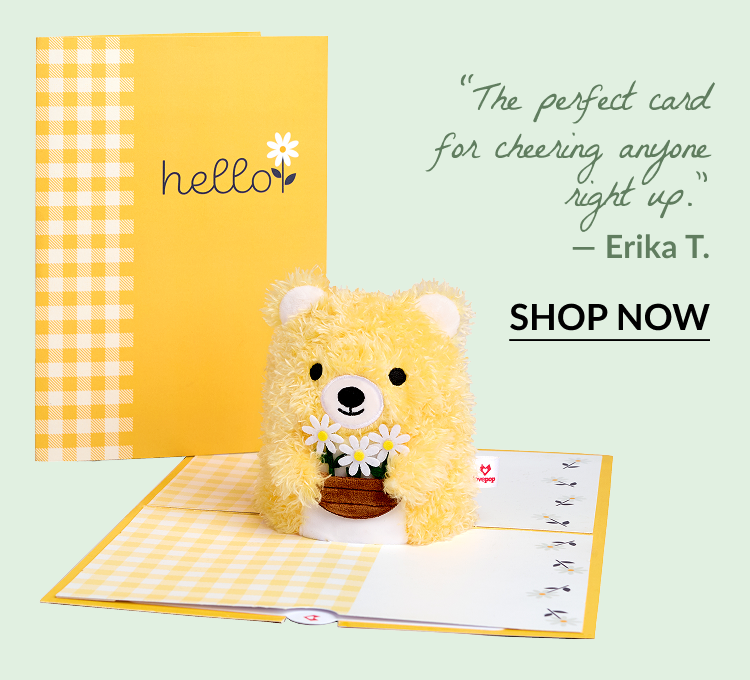 Daisy Greetings Plushpop Card with a fuzzy yellow bear holding daisies. Quote: The perfect card for cheering anyone right up. — Erika T.