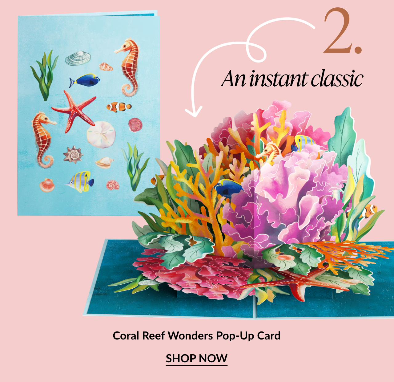 Pop-up card showing a vibrant coral reef with fish and sea plants. Text reads: An instant classic. Coral Reef Wonders Pop-Up Card. SHOP NOW.