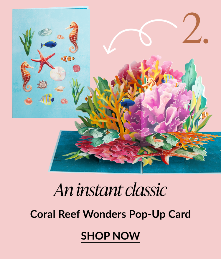 Pop-up card showing a vibrant coral reef with fish and sea plants. Text reads: An instant classic. Coral Reef Wonders Pop-Up Card. SHOP NOW.