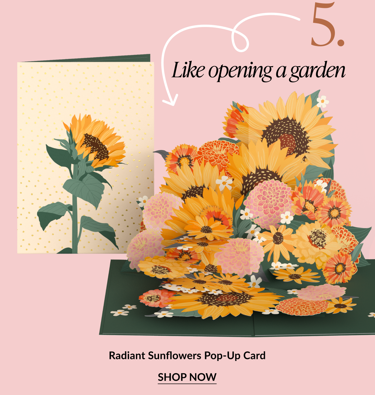 Pop-up card bursting with sunflowers, zinnias, and white flowers. Text reads: Like opening a garden. Radiant Sunflowers Pop-Up Card. SHOP NOW.