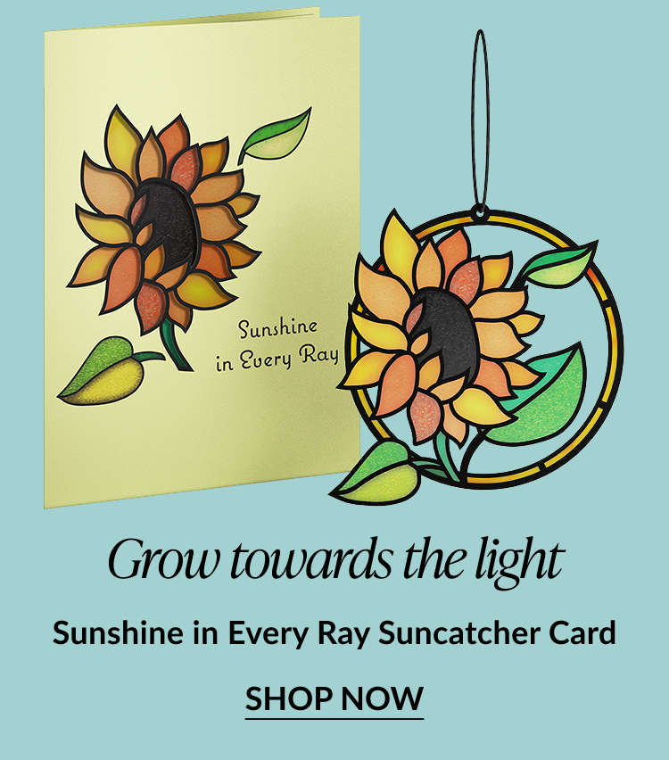 Grow towards the light. Sunshine in Every Ray Suncatcher Card. Shop now