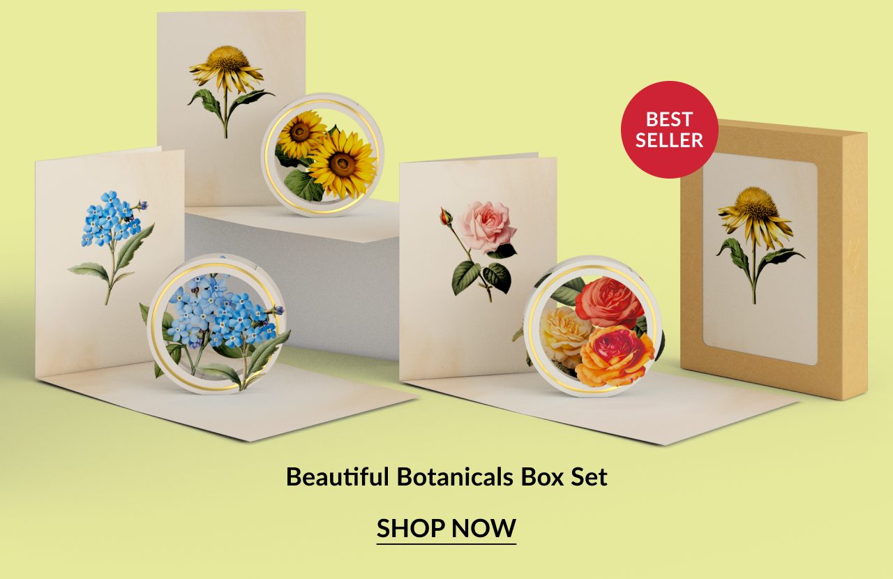 A best-selling boxed set featuring floral-themed pop-up cards: yellow sunflowers, pink roses, blue forget-me-nots, and orange blossoms. Box is kraft paper with a label featuring a yellow daisy.