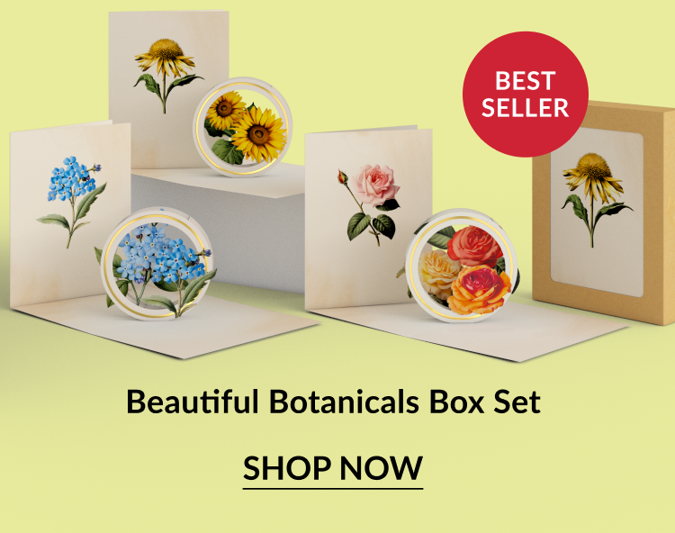 A best-selling boxed set featuring floral-themed pop-up cards: yellow sunflowers, pink roses, blue forget-me-nots, and orange blossoms. Box is kraft paper with a label featuring a yellow daisy.